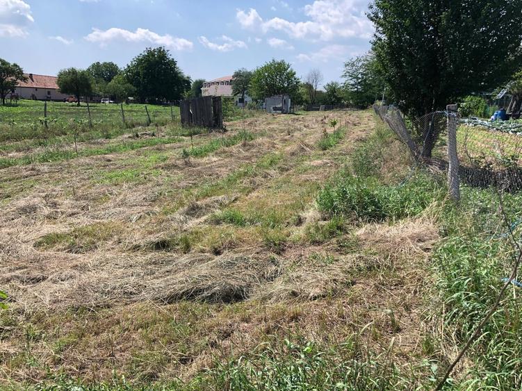 Teren Construcții de 1300 mp, în Vințu de Jos