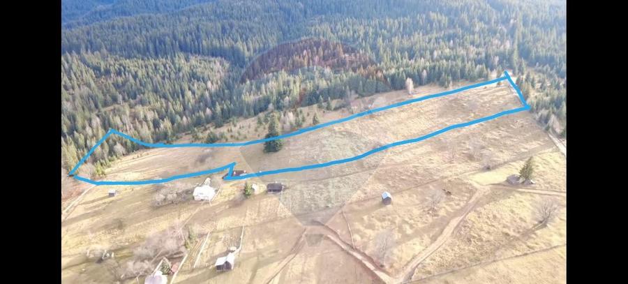 Teren Construcții intravilan de 26232 mp, în Dorna-Arini
