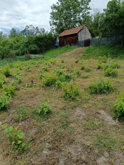 Casă cu 3 camere cu Teren 10300 Mp în Ghercești
