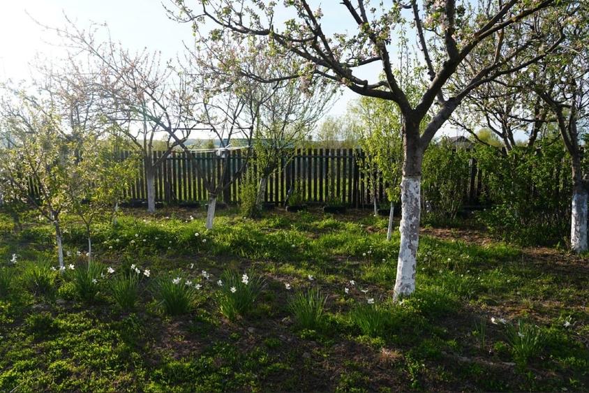 Casă individuală cu 3 camere cu Teren 900 Mp în Podu Oltului
