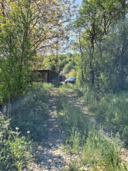 Teren de 4782 mp, în Borlești