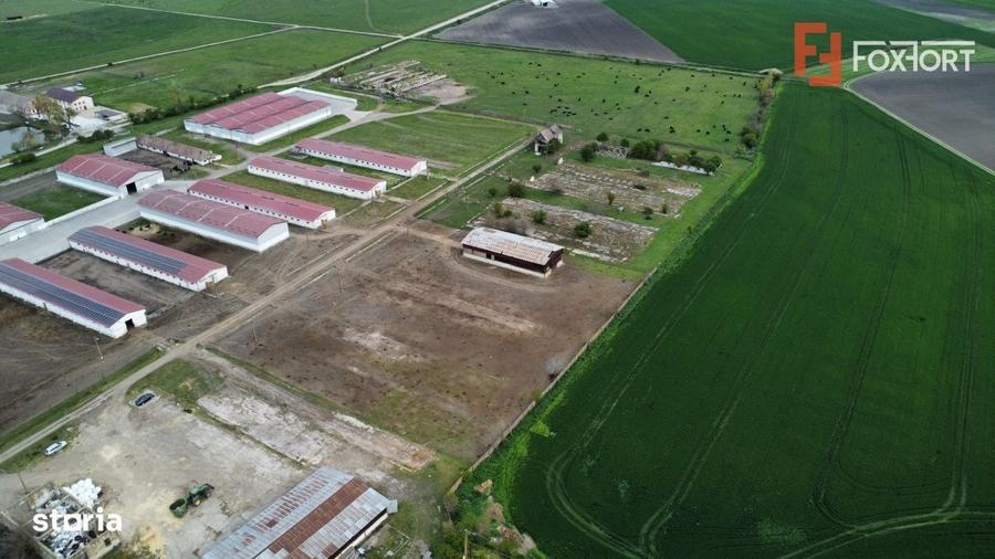 Spațiu comercial, în Sânmartinu Sârbesc