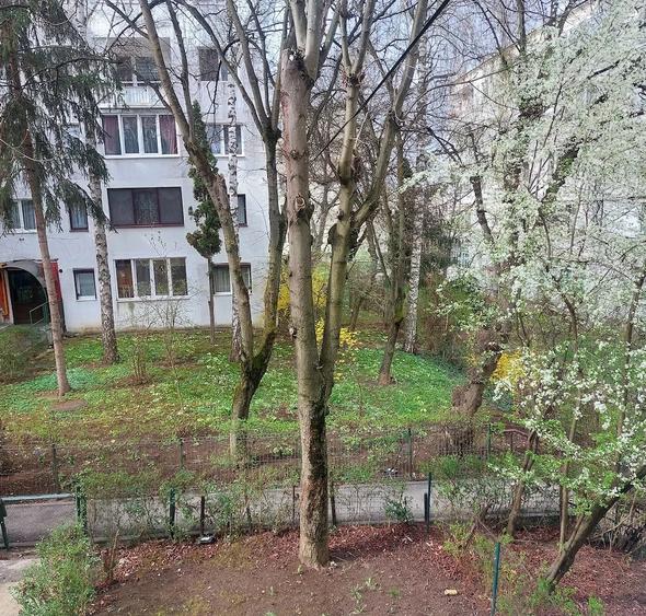 Apartament 2 camere, 39mp, recent renovat, etaj intermediar, zona Primaverii - 6