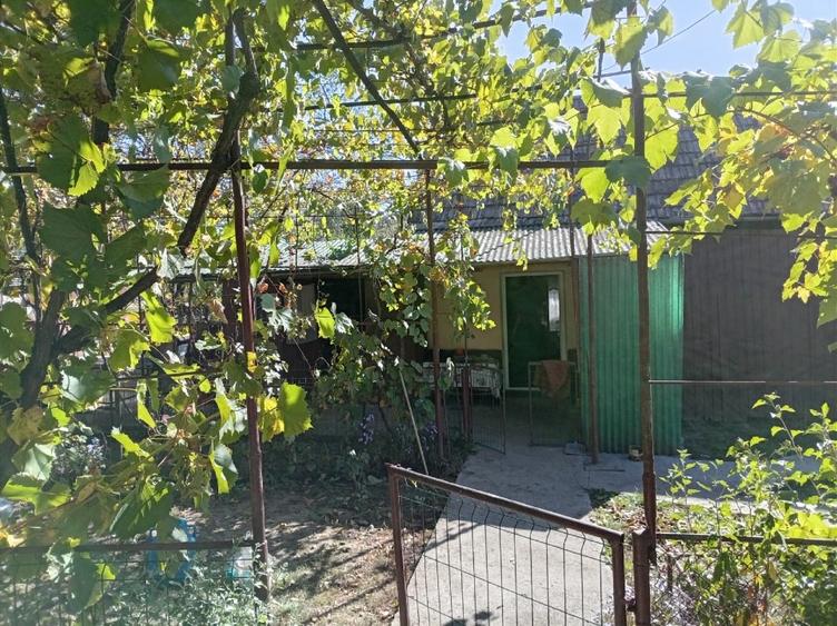 Casă cu 2 camere cu Teren 1369 Mp în Diviciorii Mici