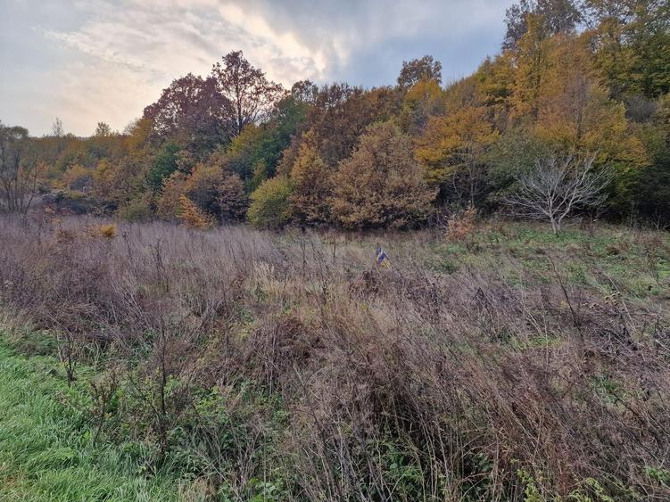Teren agricol extravilan de 1717 mp, în Mărgineni