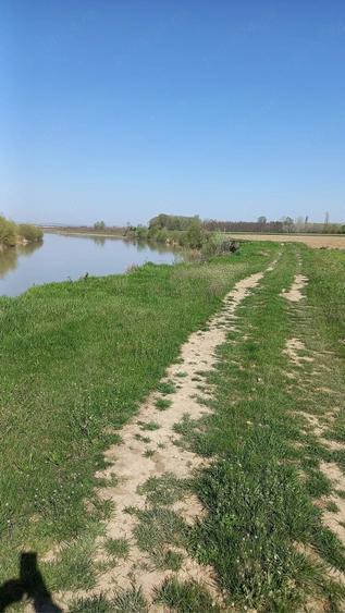 Teren de 20000 mp, în Ion Creangă