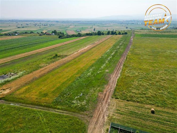 Teren Construcții intravilan de 573 mp, în Sâncraiu
