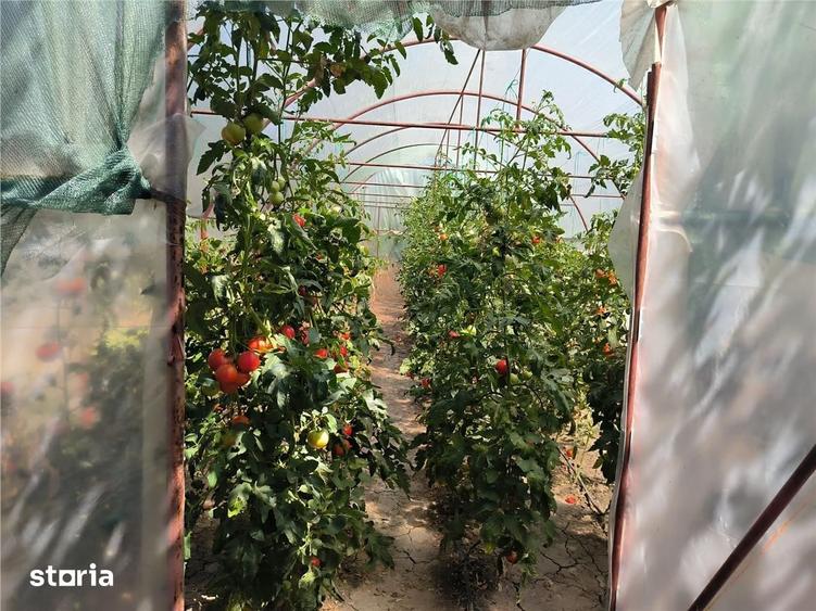 Casă cu 3 camere cu Teren 865 Mp în Central