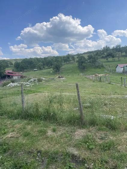 Teren de 1400 mp, în Jichișu de Jos