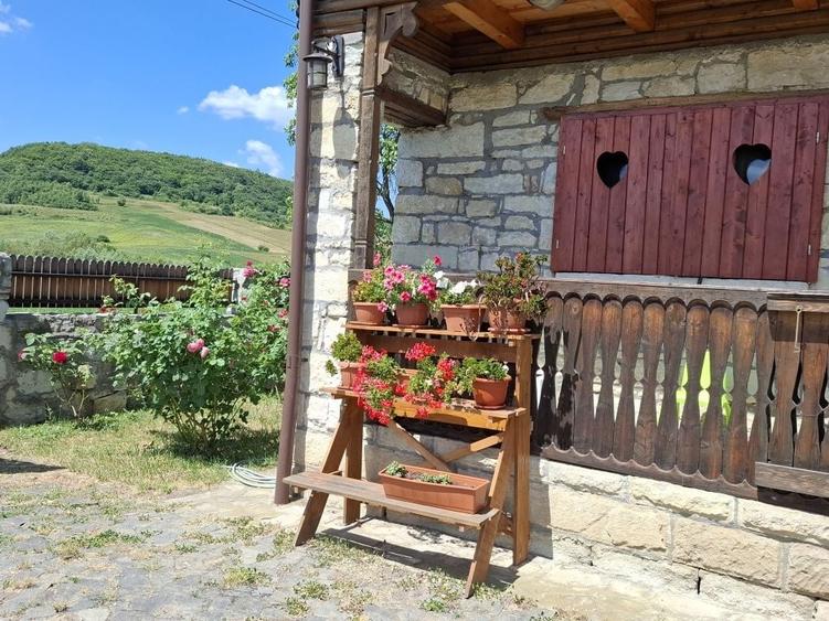 Casă cu 4 camere în Cornești