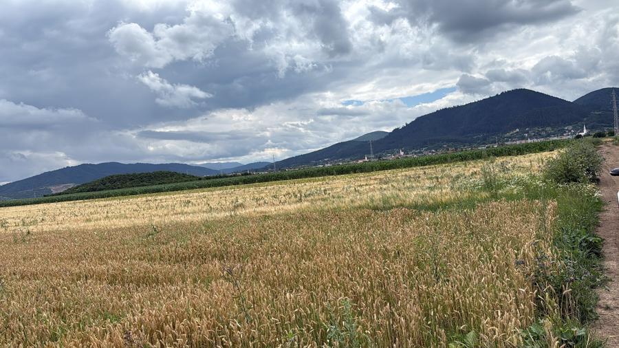 BRASOV,Teren agricol 19.600 mp, 1,96 ha/ Săcele,Front stradal 56 ml,Investiție - 4