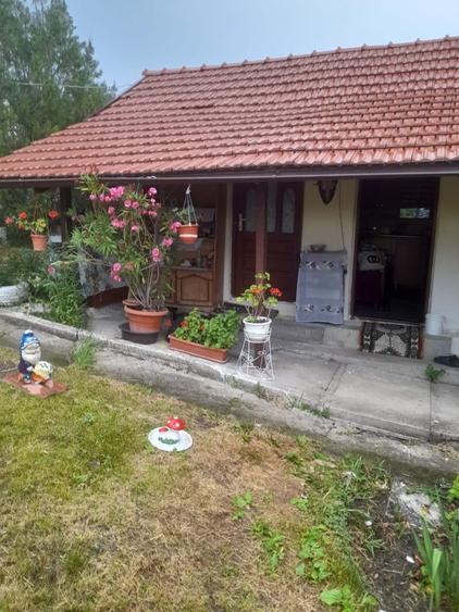 Casa de vanzare! - 6