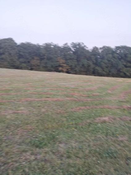 Teren de 6200 mp, în Popești