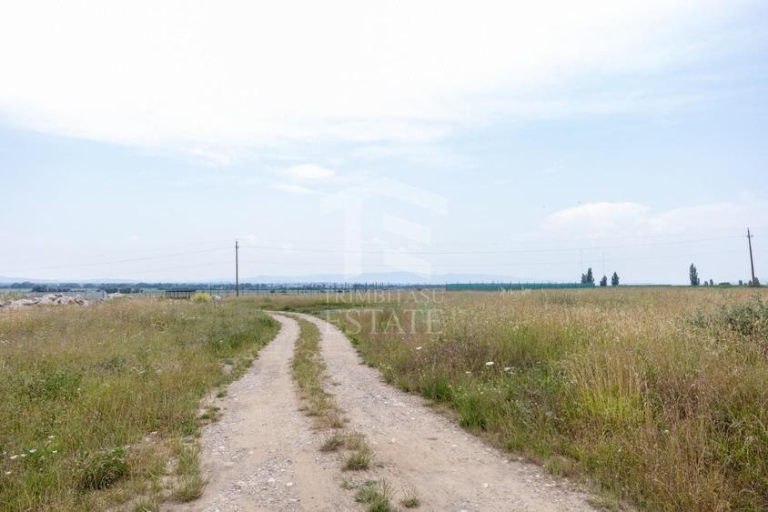 Teren Construcții intravilan de 733 mp, în Sânpetru