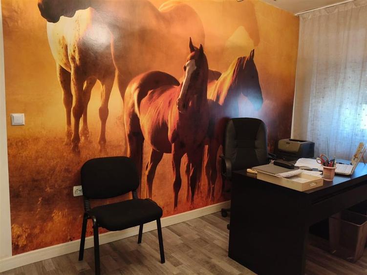Apartament cu 4 camere decomandat în Viziru 3