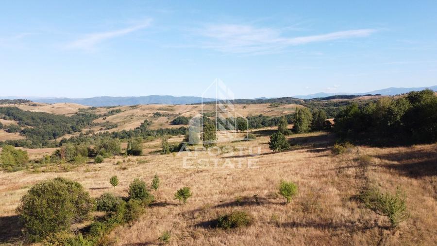 Teren agricol extravilan de 50000 mp, în Izvoarele