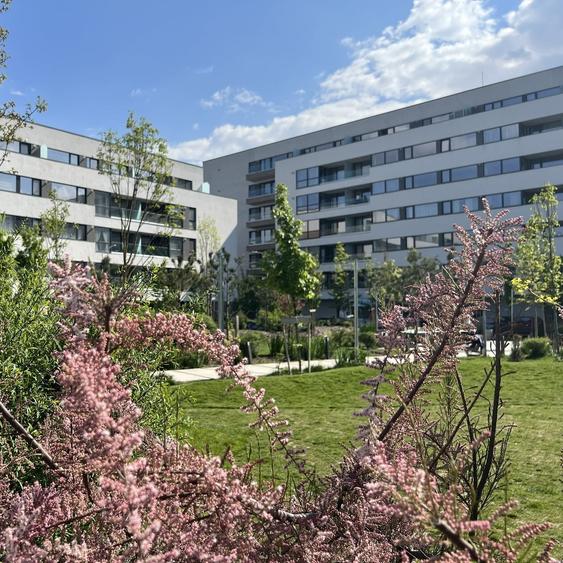 Apartament cu 3 camere semidecomandat în Străulești