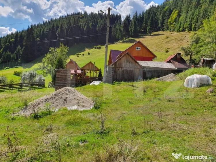 Teren de 3015 mp, în Arieșeni