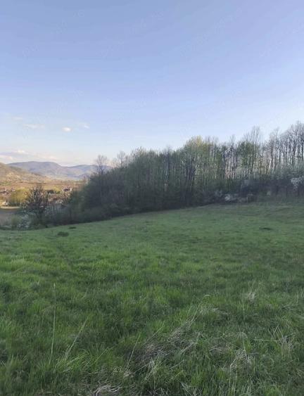 Teren de 4309 mp, în Căinelu de Jos