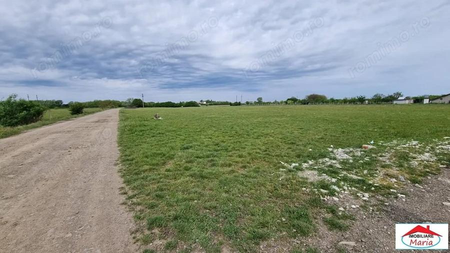 Teren de 5000 mp, în Careiului