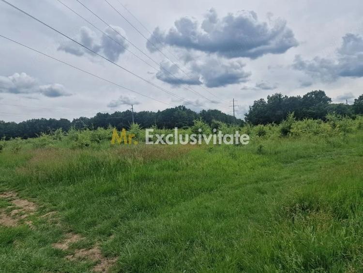 Teren de 12421 mp, în Big-Bascov
