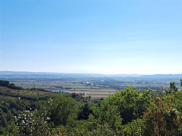 Teren Construcții intravilan de 9461 mp, în Podgoria