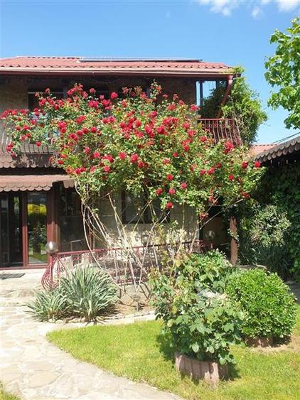 Casă cu 5 camere cu Teren 893 Mp în Chiajna