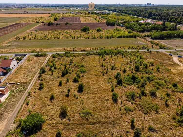 Teren Construcții intravilan de 9957 mp, în Giarmata-Vii
