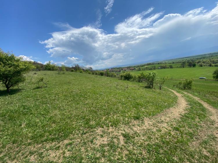 Teren de 146100 mp, în Hălmeag
