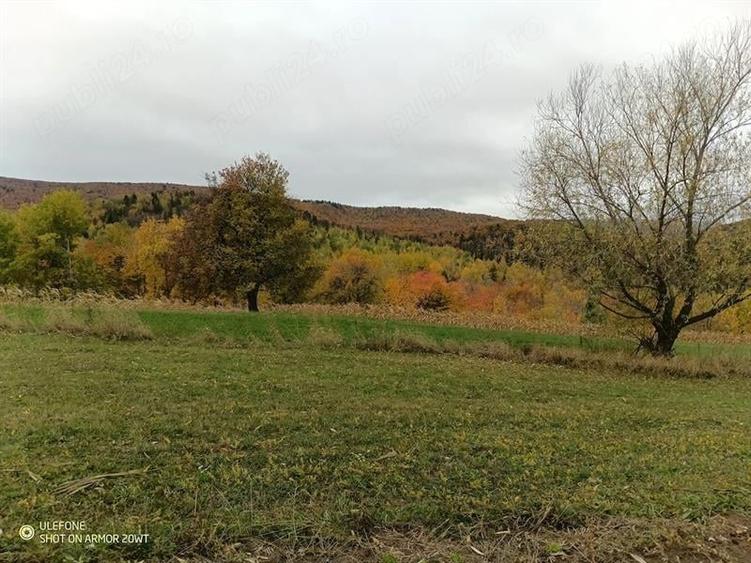 Teren agricol extravilan de 3696 mp, în Cacica