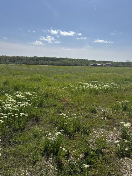 Teren de 13500 mp, în Ciofliceni