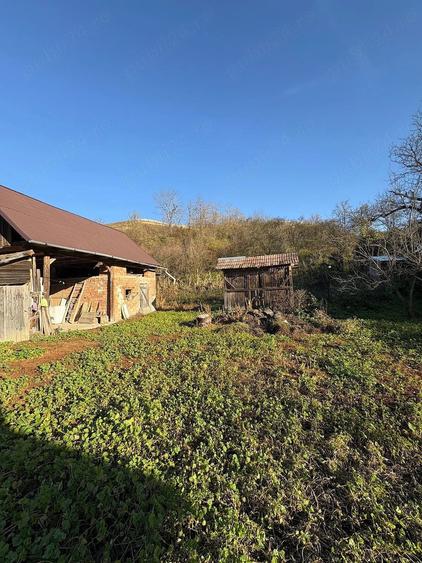 Teren cu cas de vanzare in Visea ideal pentru construc?ie ?i agricultura - 2