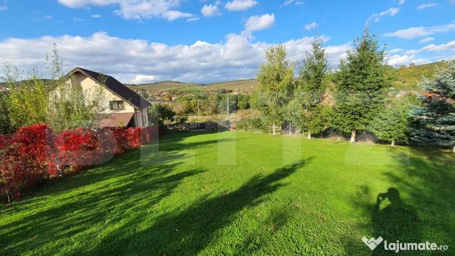 Cabana cu teren generos, 1824 mp, acces din 2 strazi Li - 6