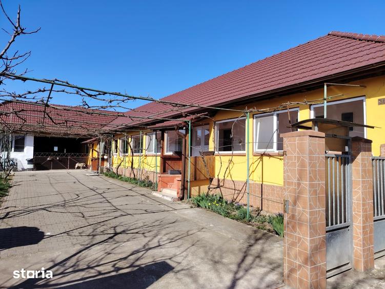 Casă cu 3 camere cu Teren 1516 Mp în Remetea Mare