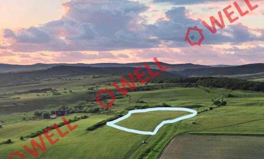 Teren intravilan de 11900 mp, în Periferie