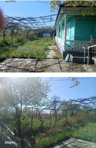 Casă cu 3 camere cu Teren 1566 Mp în Săvinești