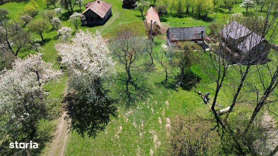 Ocazie! Teren 9735 mp Bran- Predelut / Strada Pe Tarina nr. 70A - 14