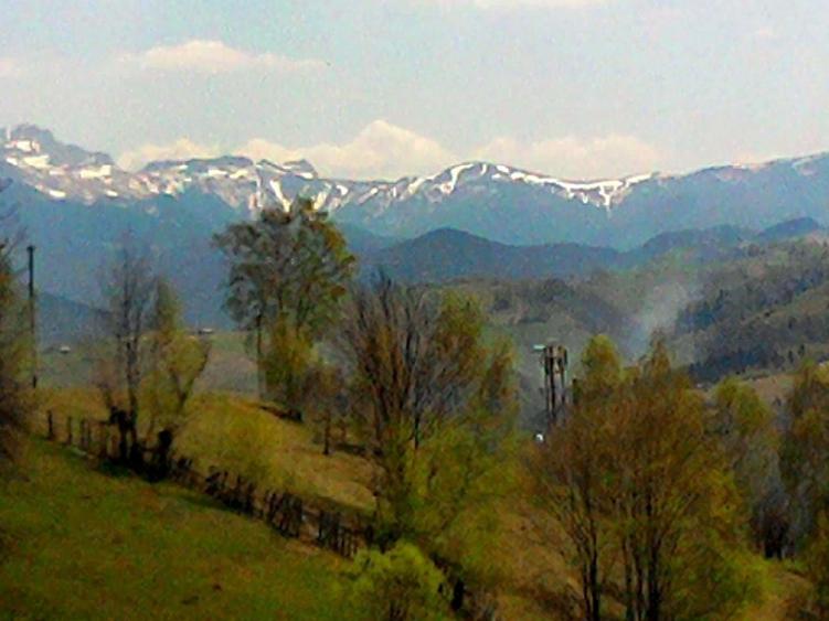 Teren Construcții intravilan de 14000 mp, în Bran