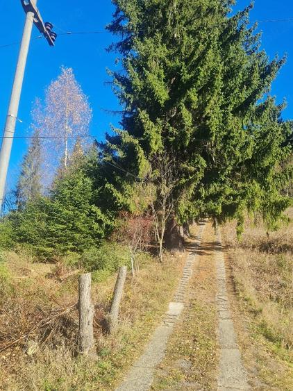 Teren de 4200 mp, în Exterior Vest