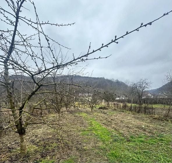 Casă cu Teren 1400 Mp în Măluț