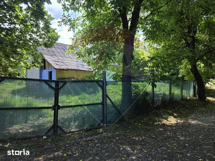 Casă cu 4 camere cu Teren 3686 Mp în Buciumi
