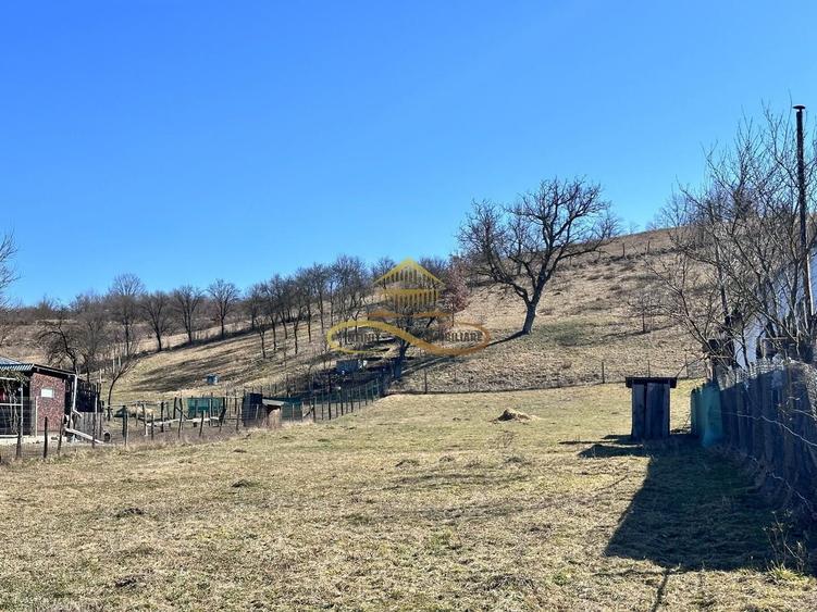 Teren Construcții intravilan de 3279 mp, în Luncani