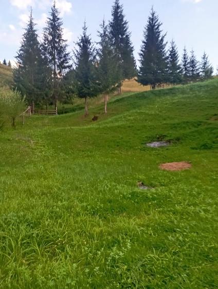 Casă individuală cu 5 camere cu Teren 45000 Mp în Fundu Moldovei