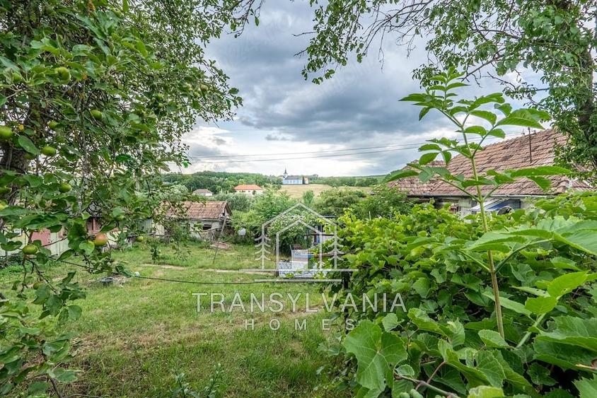 Casă cu Teren 2560 Mp în Sâmboleni