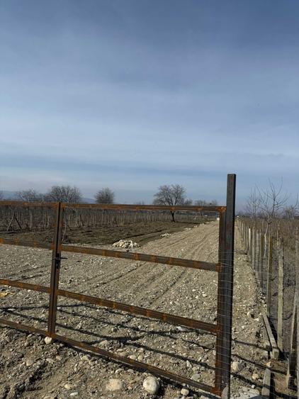 Teren de 4000 mp, în Câmpineanca