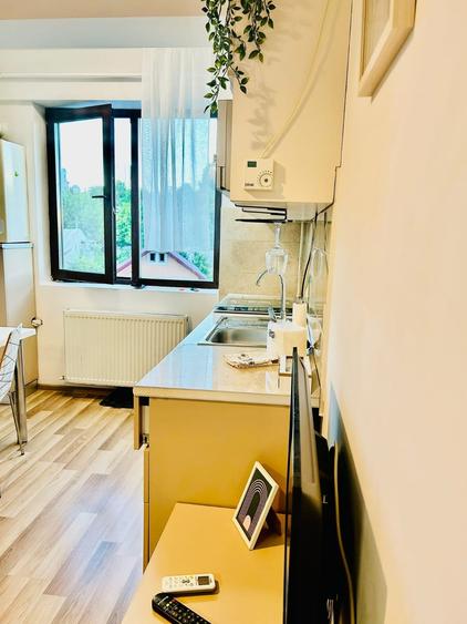 Apartament cu 2 camere semidecomandat în Ultracentral