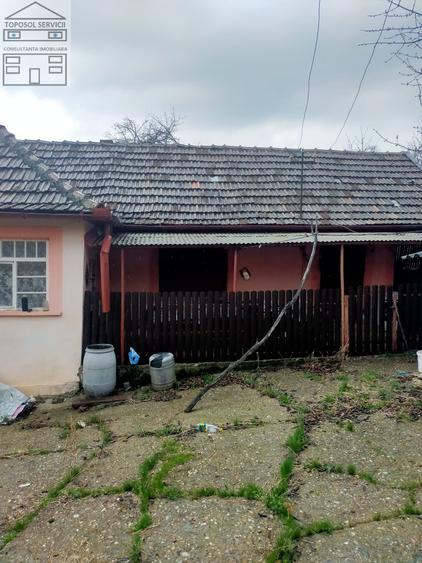 Casă cu 3 camere cu Teren 2672 Mp în Ineu