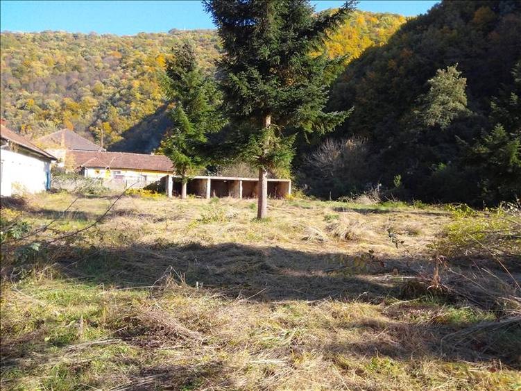 Teren Construcții intravilan de 5755 mp, în Lendt