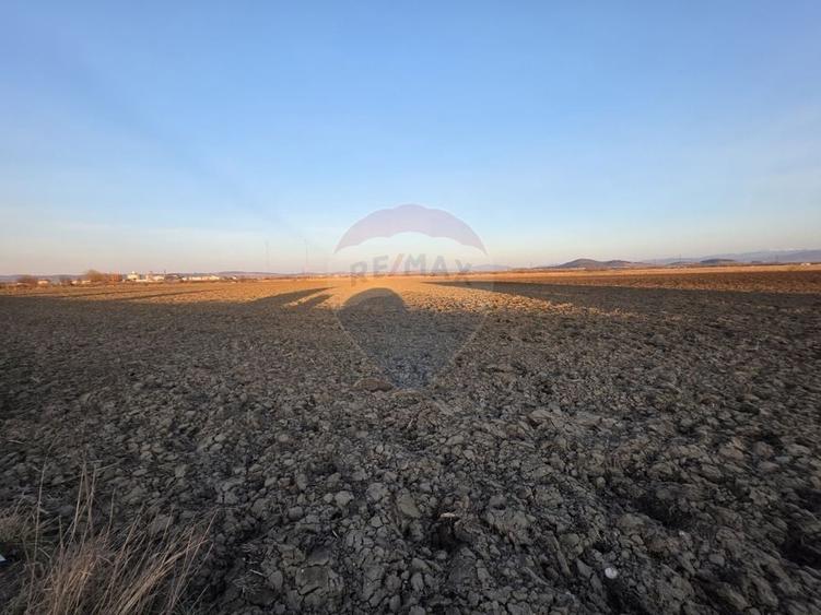 Teren agricol intravilan de 30000 mp, în Nord
