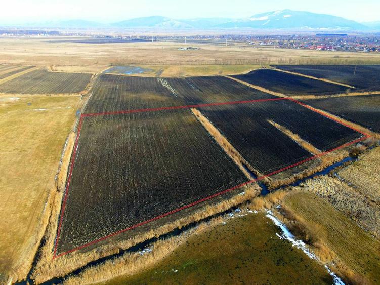 Teren de 25000 mp, în Prejmer